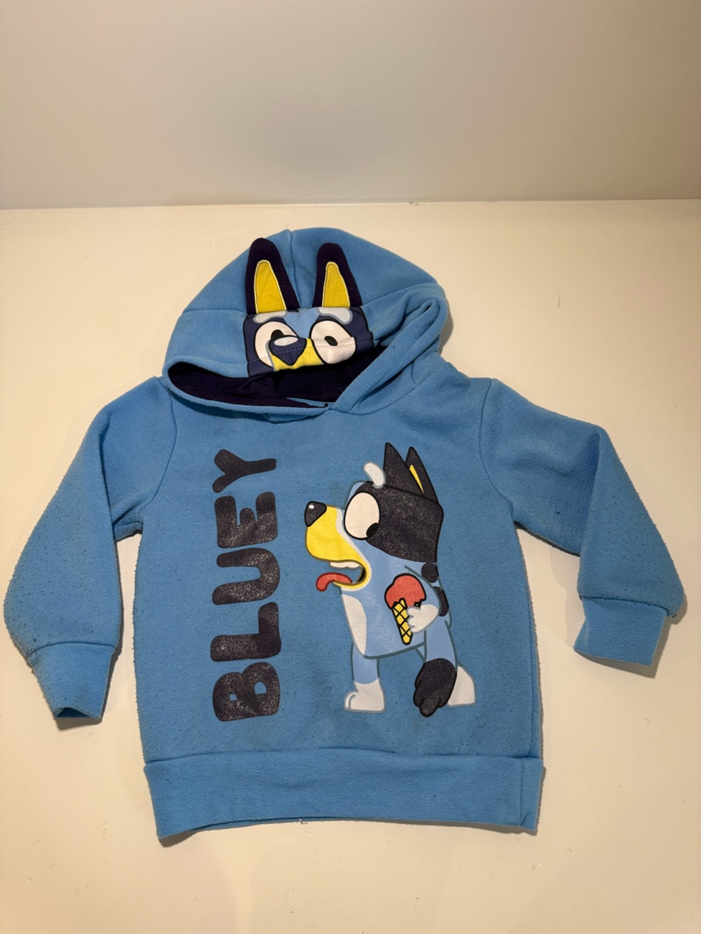 Bluey Hoodie 2T – Bluey Character Hoodie